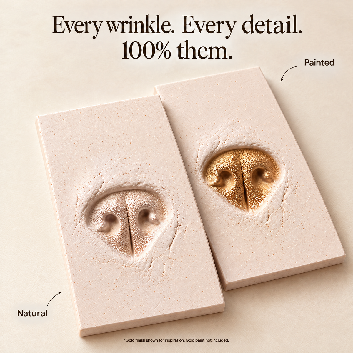 Pet Clay Print kit
