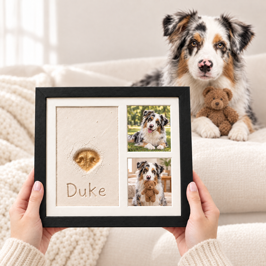Pet Clay Print kit